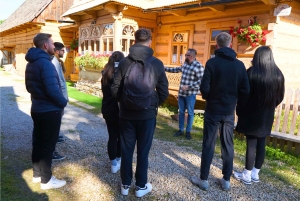 Krakow: Zakopane Cable Car, Vodka, Tasting & Thermal Springs