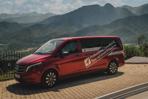 Krakow: Zakopane Cable Car, Vodka, Tasting & Thermal Springs