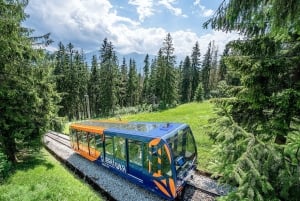 Kraków: Zakopane dagstur med valfria termiska bad