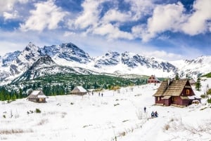 Kraków: Zakopane dagstur med valfria termiska bad