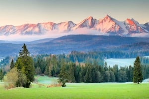 Kraków: Zakopane dagstur med valfria termiska bad