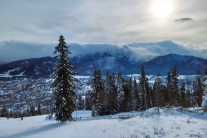 Krakow: Zakopane-dagstur med taubane og termiske bassenger