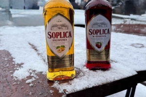 Krakow: Zakopane-dagstur med taubane og termiske bassenger