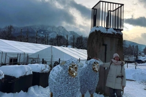 Krakow: Zakopane-dagstur med taubane og termiske bassenger