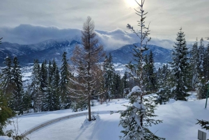Krakow: Zakopane-dagstur med taubane og termiske bassenger