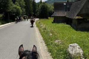 Krakau: Tagestour nach Zakopane mit Pferdeausritt und Thermalbädern