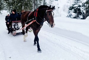 Cracovia: escursione a cavallo a Zakopane e terme