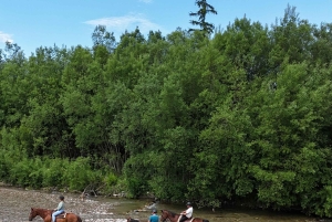 Krakova: Zakopane-hevosretki ja kylpyläpäivä