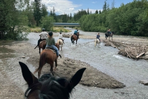 Krakova: Zakopane-hevosretki ja kylpyläpäivä