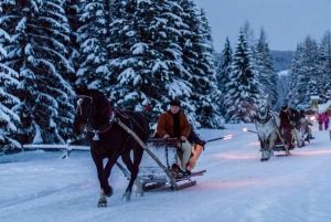 Krakova: Zakopane-hevosretki ja kylpyläpäivä