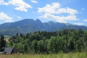 Cracóvia: Viagem Partilhada Zakopane & Hot Springs