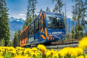 Krakau: Zakopane, Morskie Oko und Käseverkostungstour
