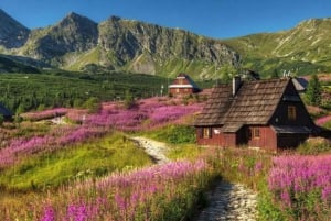 Krakau: Zakopane, Morskie Oko und Käseverkostungstour