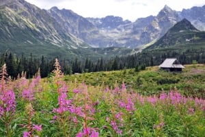 Krakau: Zakopane, Morskie Oko und Käseverkostungstour