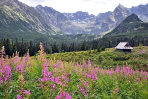 Krakow: Zakopane, Morskie Oko, and Cheese Tasting Tour