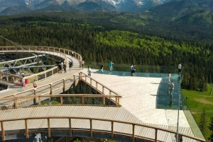 Cracóvia: Zakopane, passeio pelas copas das árvores nas montanhas e banhos termais