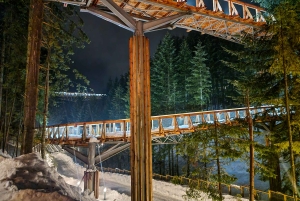 Cracóvia: Zakopane, passeio pelas copas das árvores nas montanhas e banhos termais