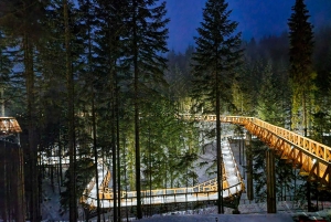 Cracóvia: Zakopane, passeio pelas copas das árvores nas montanhas e banhos termais