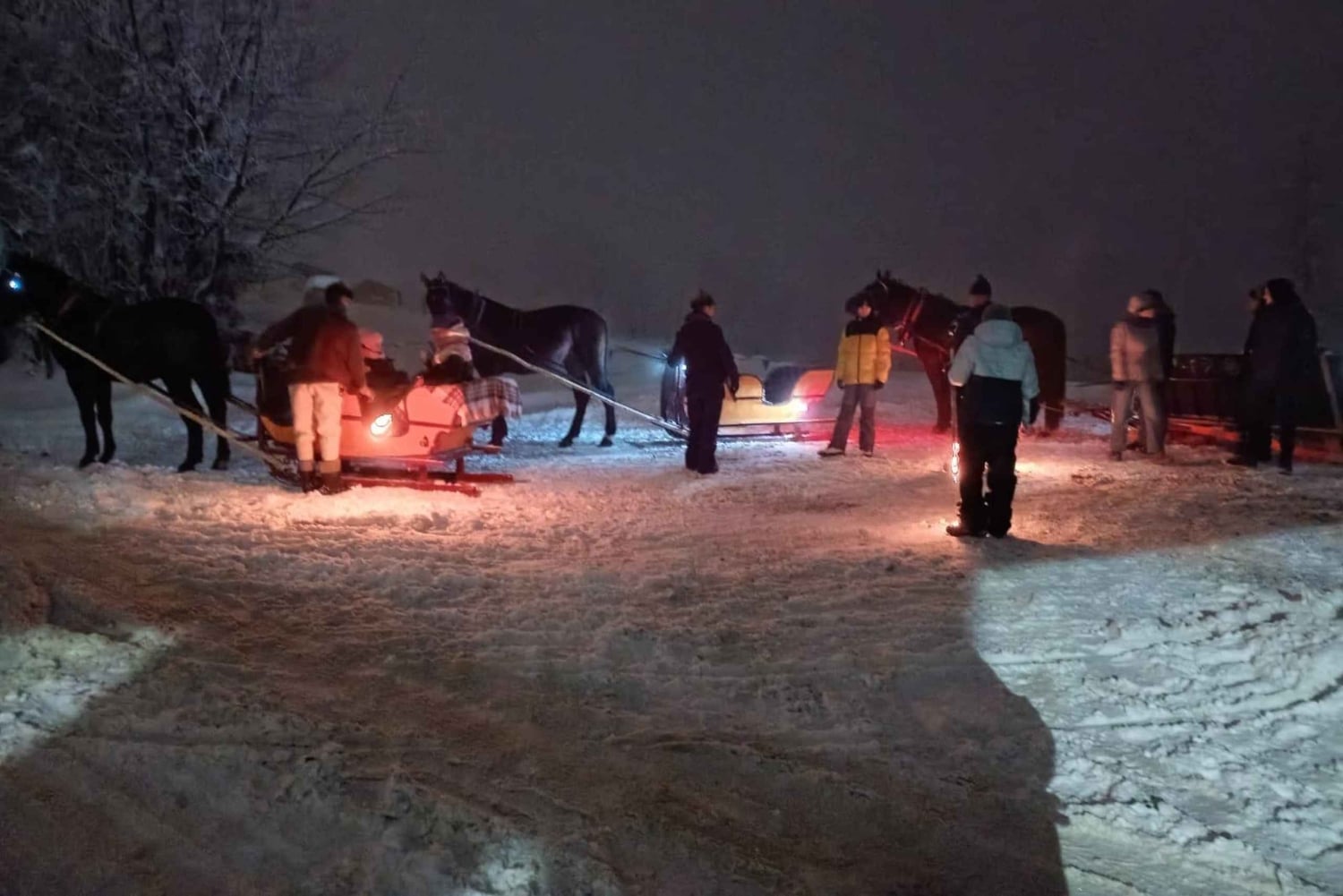 Cracóvia: Zakopane Snowmobile & Kulig Viagem de um dia com jantar