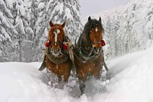Cracóvia: Zakopane Snowmobile & Kulig Viagem de um dia com jantar