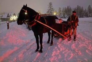 Cracóvia: Zakopane Snowmobile & Kulig Viagem de um dia com jantar
