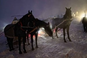 Cracóvia: Zakopane Snowmobile & Kulig Viagem de um dia com jantar