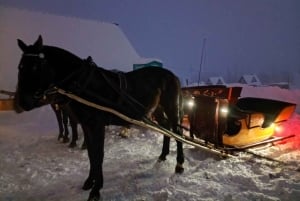 Cracóvia: Zakopane Snowmobile & Kulig Viagem de um dia com jantar