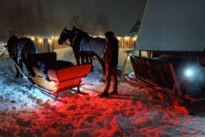 Cracóvia: Zakopane Snowmobile & Kulig Viagem de um dia com jantar