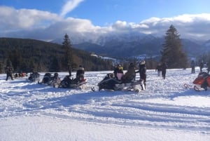 Krakow: Zakopane Snowmobiles, Bonfire & Hot Springs Day Tour