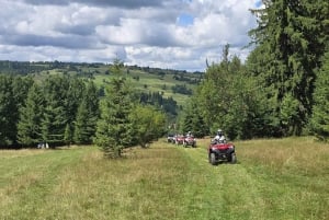 Krakow: Zakopane Snowmobiles, Bonfire & Hot Springs Day Tour