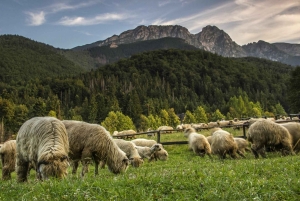 Cracovia: teleférico de Zakopane y recogida en el hotel