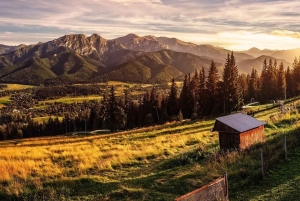 Cracovia: teleférico de Zakopane y recogida en el hotel