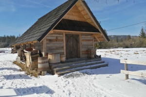 Cracovia: teleférico de Zakopane y recogida en el hotel