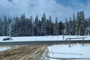 Kraków: Zakopane-Termalt bad (kvällstid) med upphämtning från hotell