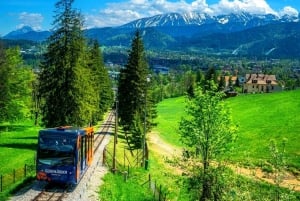 Krakau: Zakopane-tour, warmwaterbronnen, kabelbaan, kaas en wodka