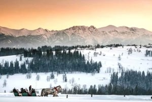 Krakau: Zakopane-tour, warmwaterbronnen, kabelbaan, kaas en wodka