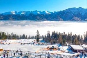 Krakau: Zakopane-tour, warmwaterbronnen, kabelbaan, kaas en wodka