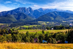 Krakow: Zakopane Tour, Hot Springs, Cable Car, Cheese &Vodka