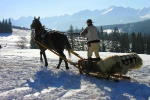 Krakow: Zakopane Tour, Hot Springs, Cable Car, Cheese &Vodka