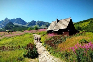 Krakow: Zakopane Tour, Hot Springs, Cable Car, Cheese &Vodka