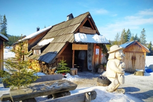 Krakow: Zakopane Tour, Hot Springs, Cable Car, Cheese &Vodka