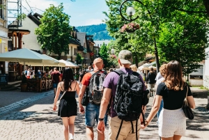 Krakow: Zakopane Tour, Hot Springs, Cable Car, Cheese &Vodka