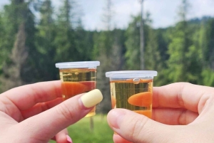 Krakow: Zakopane Tour, Hot Springs, Cable Car, Cheese &Vodka