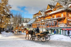 Krakow: Zakopane Tour, Hot Springs, Cable Car, Cheese &Vodka