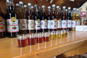 Krakow: Zakopane Tour, Vodka, Tasting & Thermal Springs