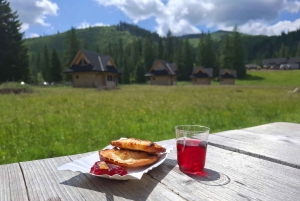 Krakow: Zakopane Tour, Vodka, Tasting & Thermal Springs