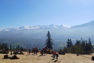 Krakow: Zakopane Tour, Vodka, Tasting & Thermal Springs