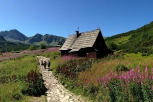 Zakopane Tour with Cable Car & Thermal Baths Ticket