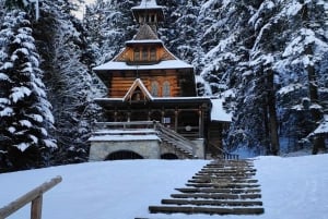 Krakow: Zakopane-tur med svævebane og osteprøvesmagning