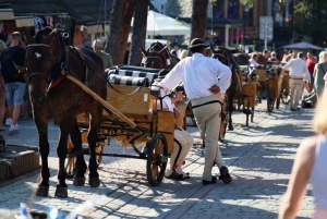 Zakopane: Un viaggio con l'opzione delle acque curative